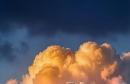 ����ֽ��ÿ�ո��¸����ֽ