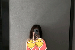��Ҫ��������