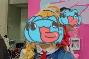 չһCOSER