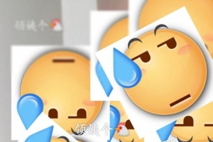 ����Ǳ���