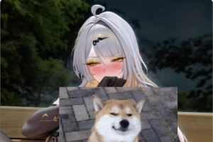 ����˭û�����ͼ������