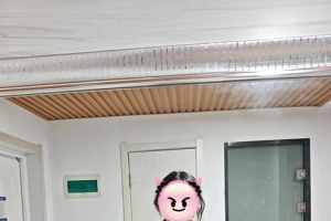 ����һƬʽ������ȹ