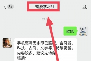 �����ֽ ����������