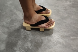 �������ʣ���������ȥ�᲻�ᱻ�᣿