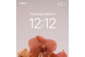 ձֽ4.0|m
