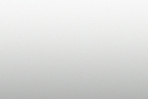 ����ֽ��8��25�ո����ֽ����