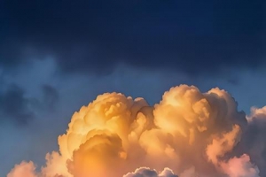 ����ֽ��ÿ�ո��¸����ֽ