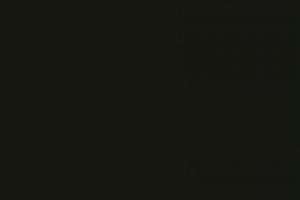 ����ֽ��9��8�ո����ֽ����