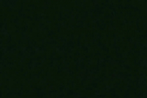 ����ֽ��9��8�ո����ֽ����