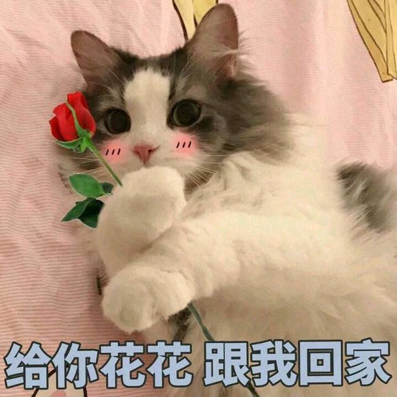 cBKDnHINKk9b4B1e.jpg