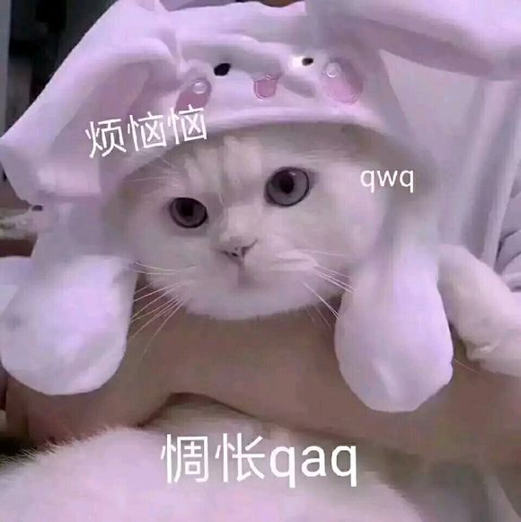 lpQQXNCg4tZB04px.jpg