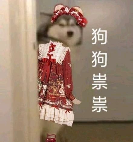 n4sDTb2GCV6lpwv3.jpg