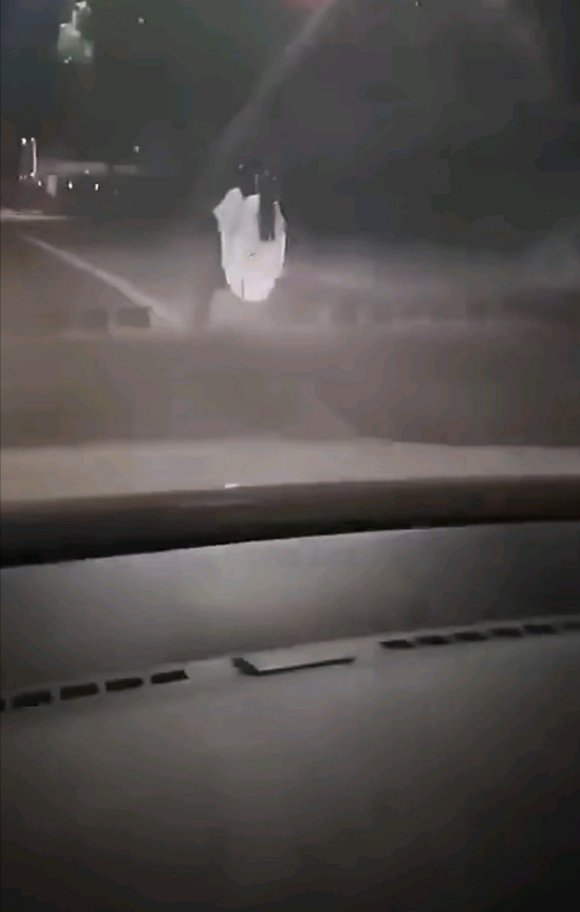 Ͻﳵ!-1.jpg
