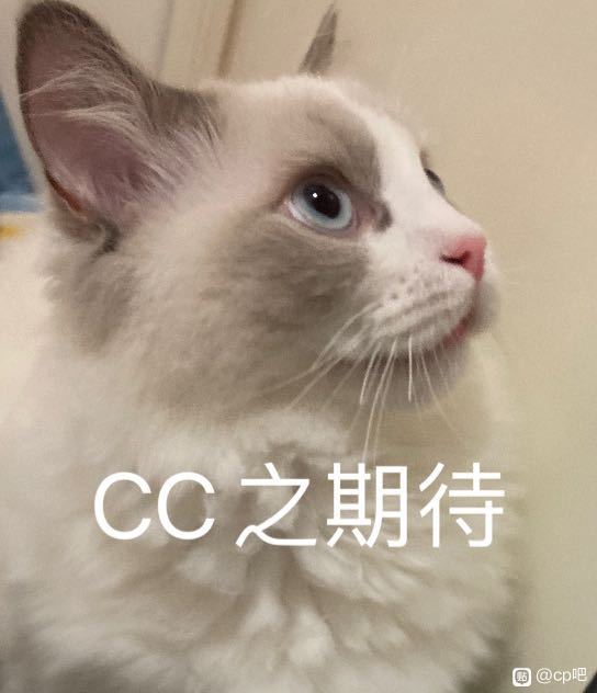 [k]lo/ͬ-3.jpg