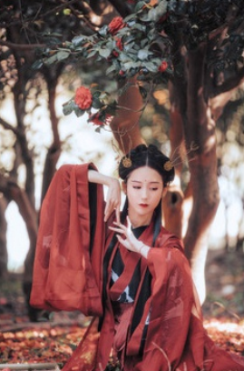 Щ޵ĺ?(ͼ)-1.jpg