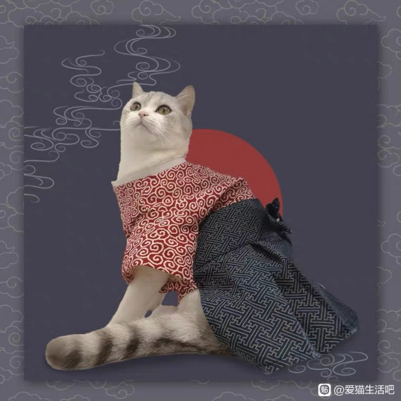 С,ԭ,-5.jpg