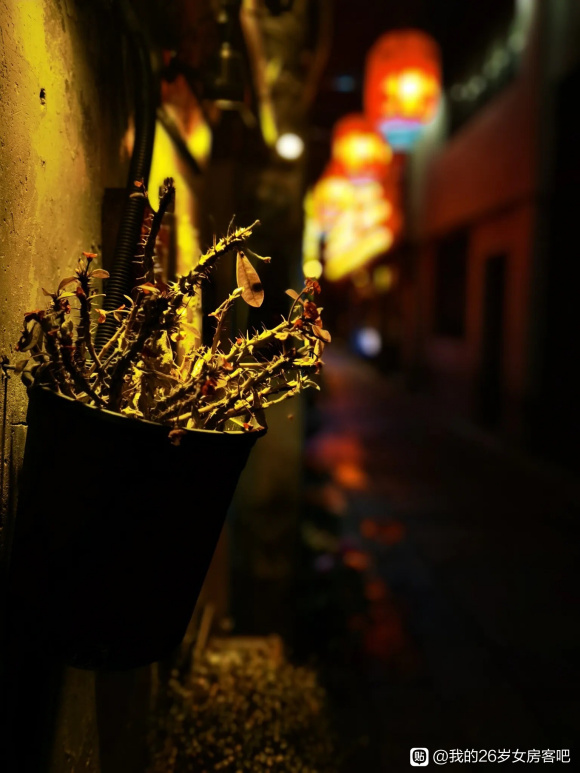 ڼˮϻ-4.jpg