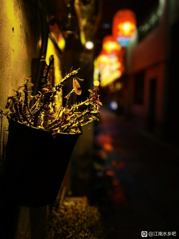 ڼںˮϻ-4.jpg