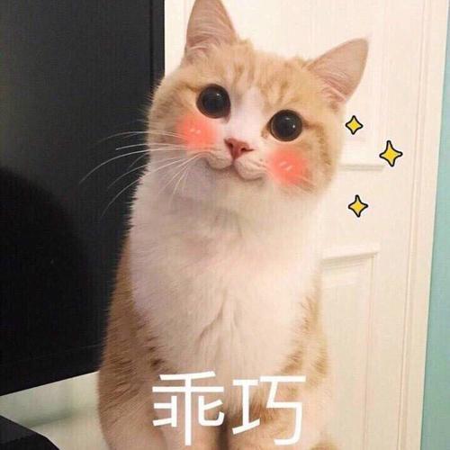 µ,ҳں,ÿһ-1.jpg