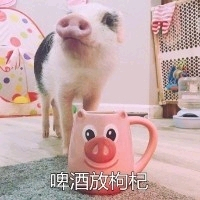 ûĿȫгĺ-1.jpg