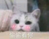 ĺͼ-1.jpg
