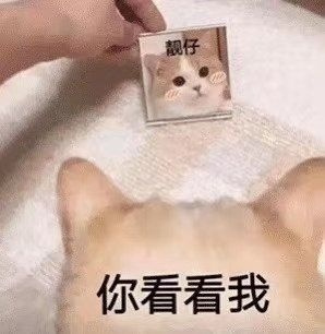 02-22 | ո塿ƹպͼ,Գں,!-1.jpg