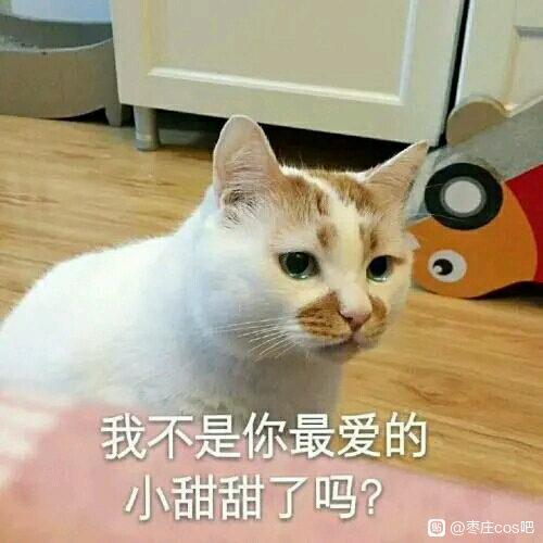 ͻ-1.jpg