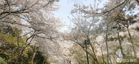 һ˴ź  -4.jpg