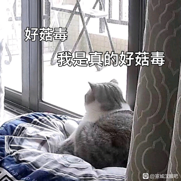 С,ΪʲôǺɵĹٷQȺû-1.jpg