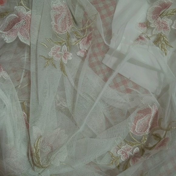 / Lolita Ⱥ  -2.jpg