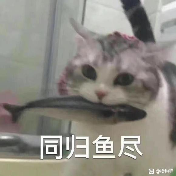 ɳɻs.m.l뺺С()-1.jpg