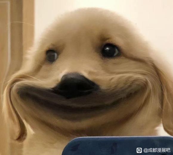 ʴҶʲô֪չʱڵ ?-1.jpg