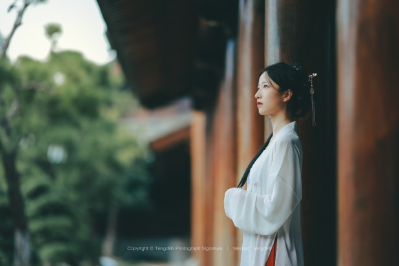 ϺŷԼ|ɽƺ|Ʒ罨-1.jpg