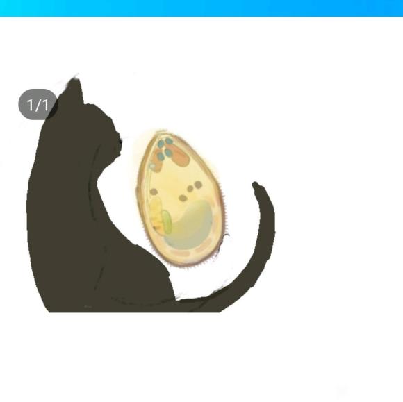 lo,ǰİײ˺Ŀ-1.jpg