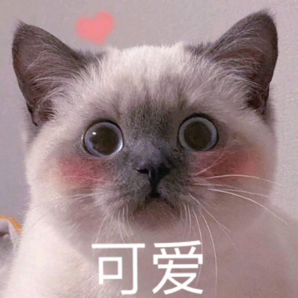 ǧԪع-1.jpg