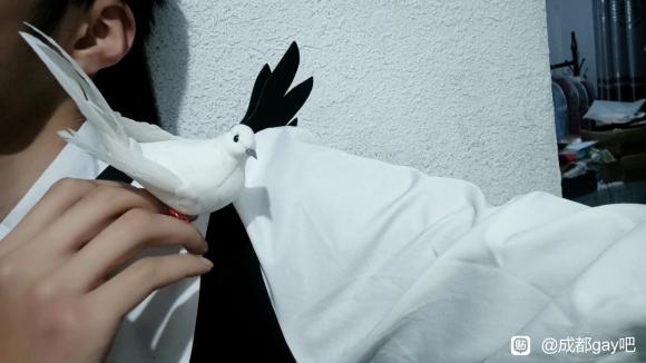 гɶӰʦô#dk####ɶԼ#-9.jpg