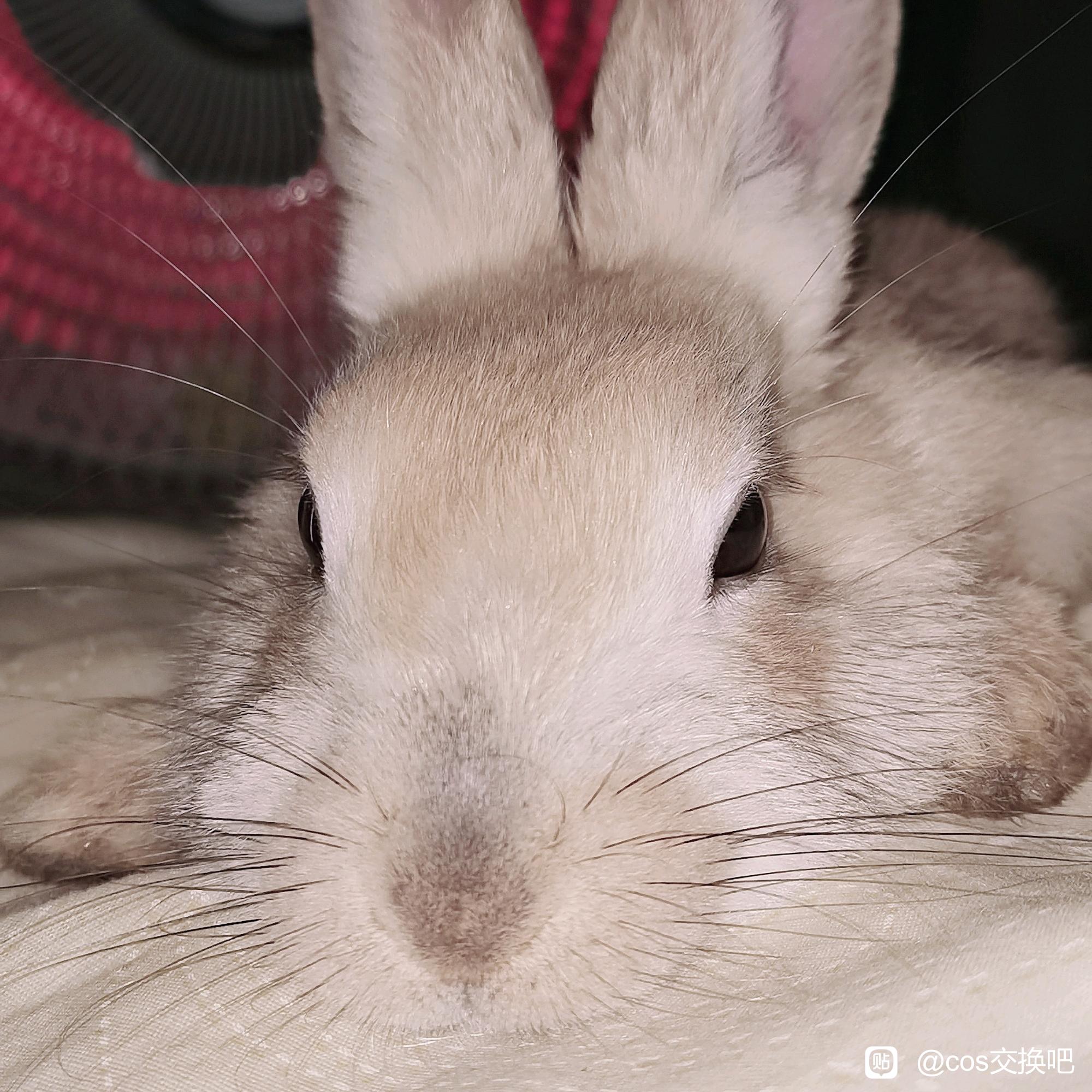 ,Ӱ,뻻캺ǵ,ԲҲԵ!-1.jpg
