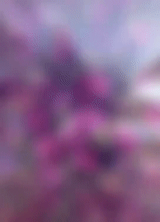λϱ!ҿӲ-1.jpg