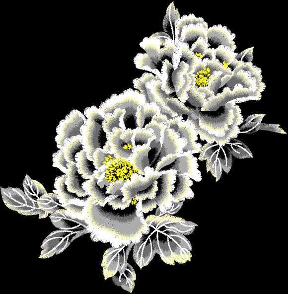 廨ư-1.jpg
