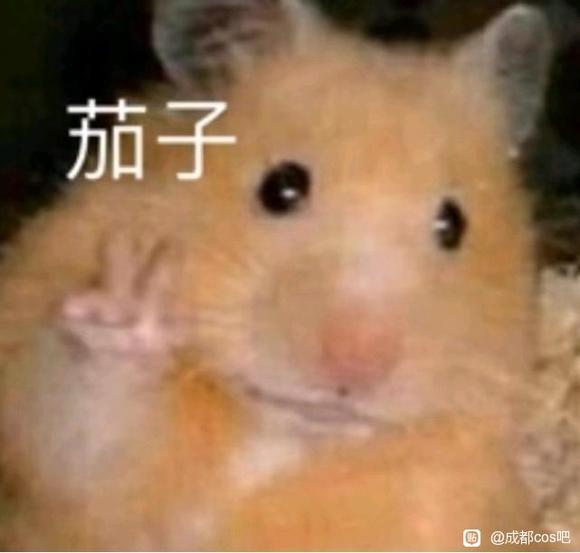 ҸСƺ-3.jpg