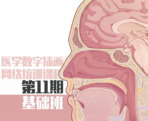 ҽѧ廭ࡤ11ڡ-1.jpg
