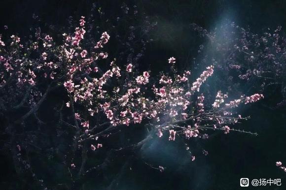 䴺ķ羰-2.jpg