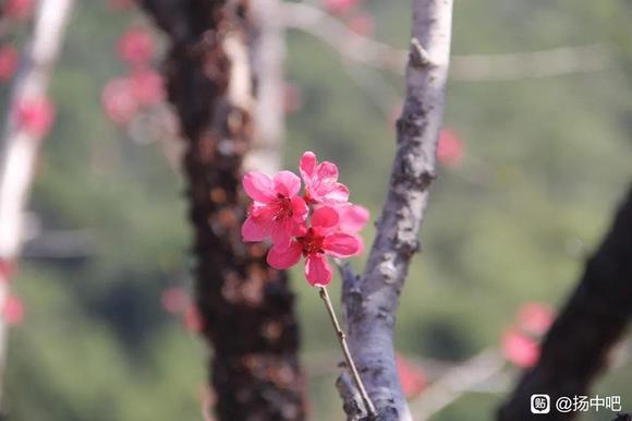 䴺ķ羰-2.jpg