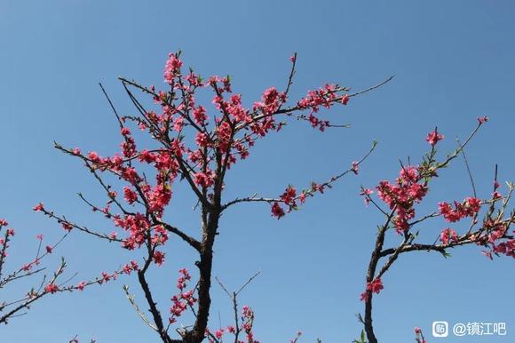 䴺ķ羰-2.jpg