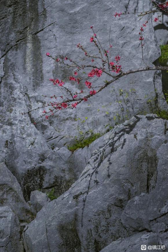 䴺ķ羰-1.jpg