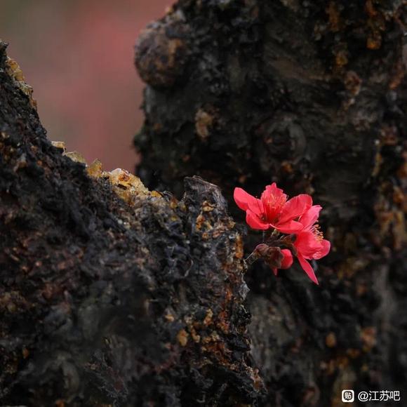 03-18Ѷ䴺ķ羰-3.jpg
