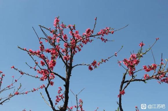 03-18Ѷ䴺ķ羰-1.jpg