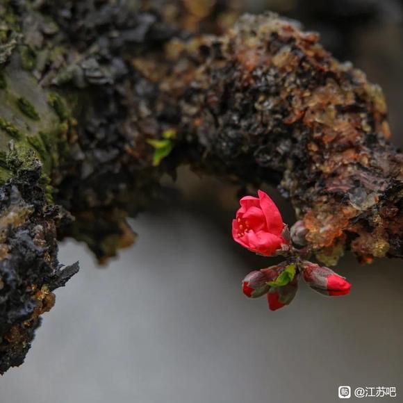 03-18Ѷ䴺ķ羰-2.jpg