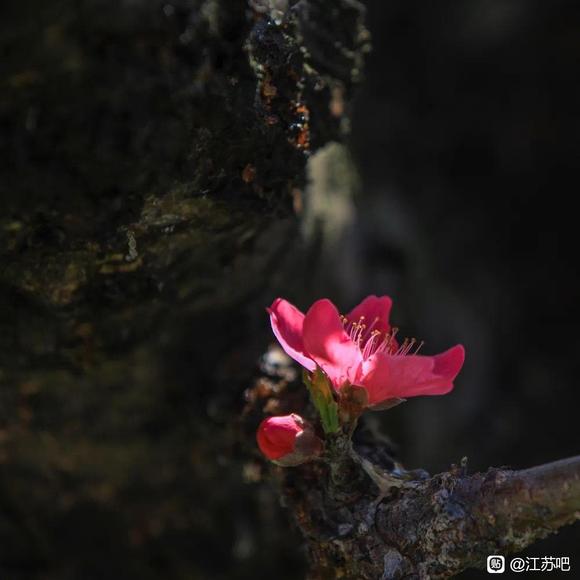03-18Ѷ䴺ķ羰-1.jpg