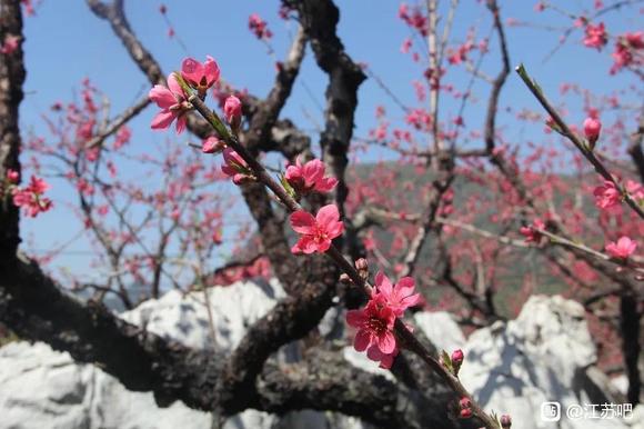 03-18Ѷ䴺ķ羰-2.jpg